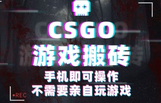 CSGO游戏挂G捡漏，单日扫货5张+，年底小高峰上车可吃肉，手机即可操作，兼职副业创业网创【揭秘】-轻创终点站