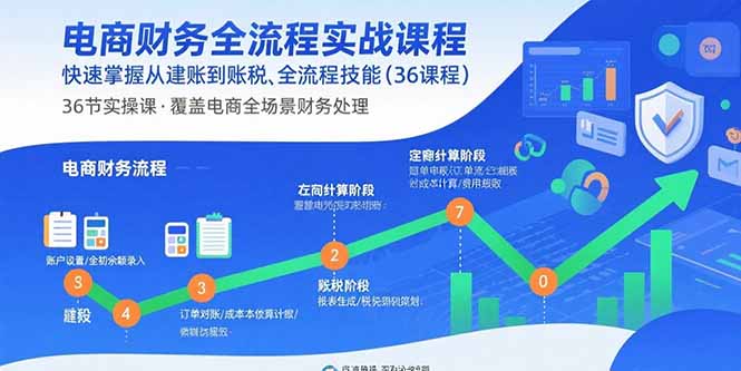 电商财务全流程实战课程：快速掌握从建账到报税的全流程技能(36节课-轻创终点站