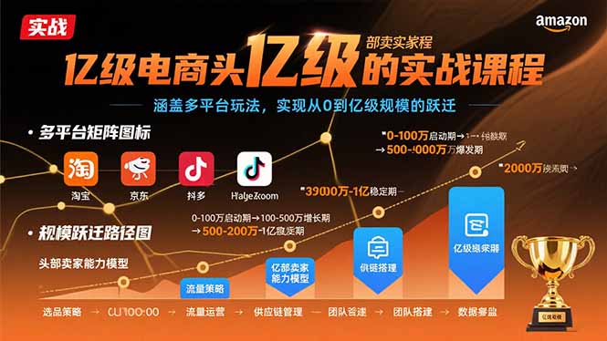 亿级电商头部卖家的实战课程：涵盖多平台玩法，实现从0到亿级规模的跃迁-轻创终点站