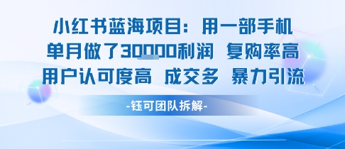 小红书蓝海项目，一部手机单月做了3W利润，小白也能月入过1W用户认可度高成交多-轻创终点站