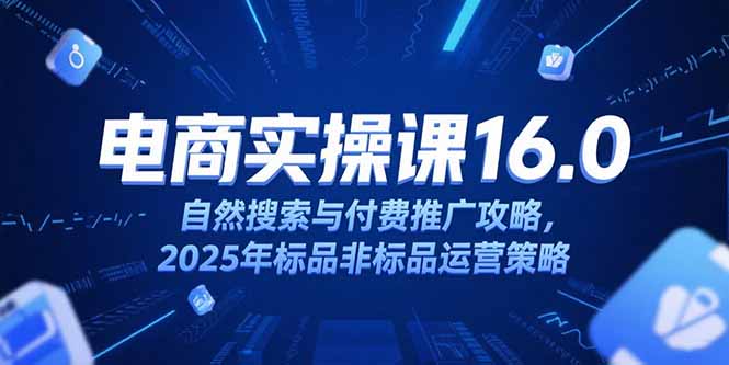 淘宝电商运营课16.0，自然搜索与付费推广攻略，2025年标品非标品运营策略-轻创终点站