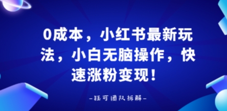 0成本，小红书最新玩法，小白无脑操作，快速涨粉变现-轻创终点站