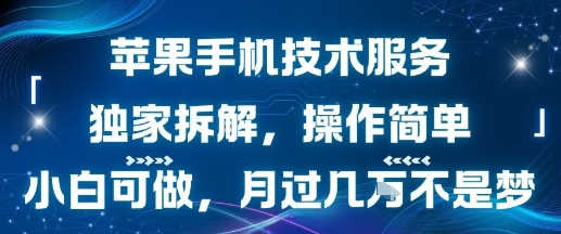 苹果手机技术服务，独家拆解，操作简单，小白可做，月过1W不是梦-轻创终点站