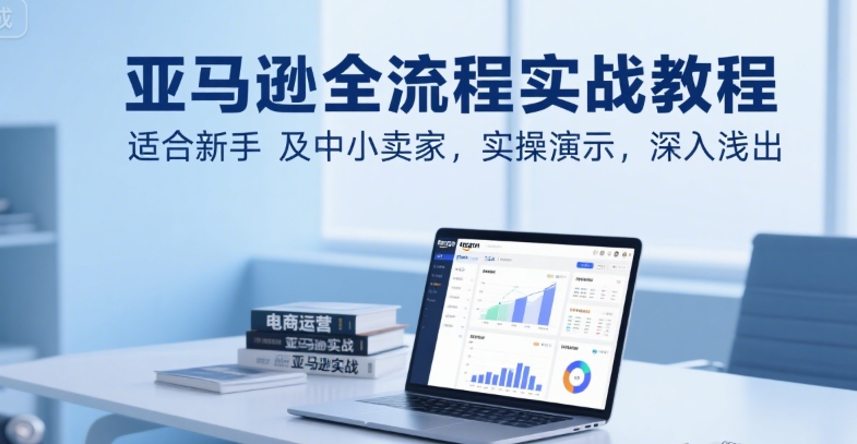 亚马逊全流程实战教程，适合新手及中小卖家，实操演示，深入浅出-轻创终点站
