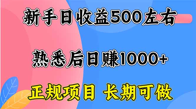 新手日收益500+ 正规项目 长期可做-轻创终点站