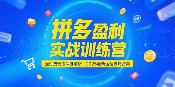 拼多多盈利实战训练营，强付费玩法深度解析，2025运营技巧合集-更新6月-轻创终点站