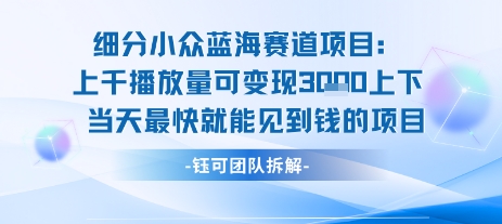 小众蓝海赛道项目：当天变现1k+适合新手操作 +适合长期玩-轻创终点站