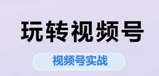 玩转视频号，视频号实战系列课-轻创终点站