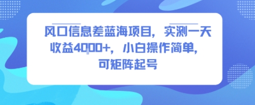 风口信息差蓝海项目，实测一天收益4k+，小白操作简单，可矩阵起号-轻创终点站