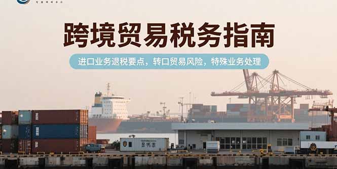 跨境贸易税务指南，进口业务退税要点，转口贸易风险，特殊业务处理-轻创终点站