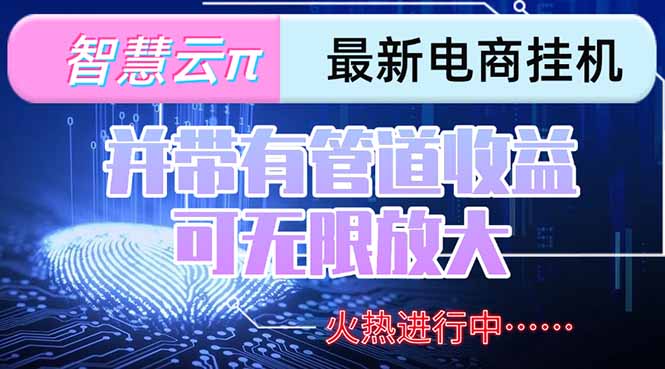 智慧云π电脑挂机单机每天收益300—500+ 并带有团队管道收益 可无限放大-轻创终点站
