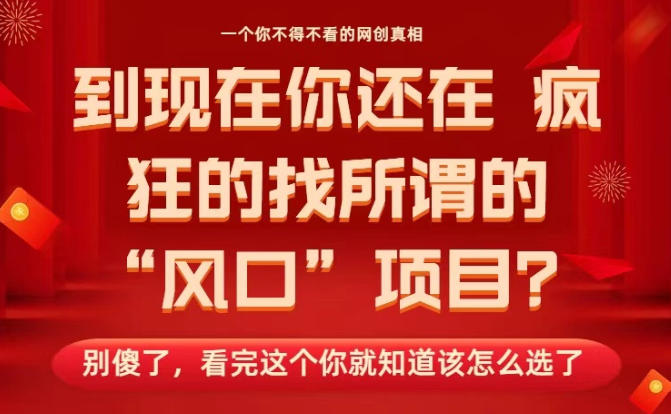 马上26年了，你还在找所谓的风口项目？别傻了，看完这个你全都懂了！【揭秘】-轻创终点站