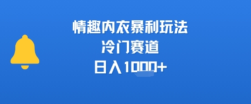 情趣内衣暴利玩法，冷门赛道，日入1k+-轻创终点站