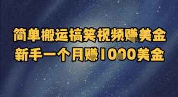 简单搬运搞笑视频挣美金，新手一个月入1k美金-轻创终点站