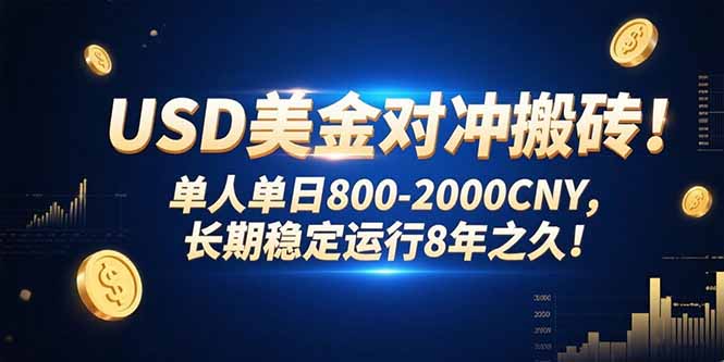 USD美金对冲搬砖!单人单日800-2000CNY，长期稳定运行8年之久!-轻创终点站