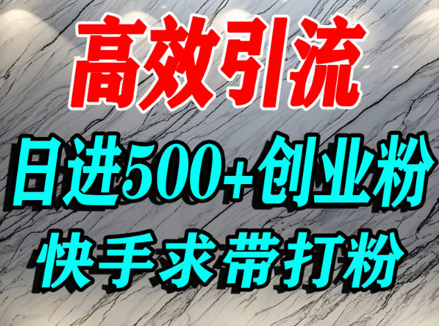 怎么打创业粉？快手求带视角精准引流创业粉，宝妈、学生群体日进500+精准流量-轻创终点站