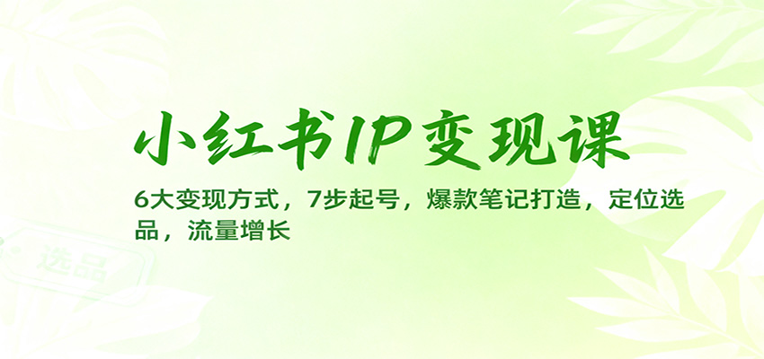 小红书IP变现课：6大变现方式，7步起号，爆款笔记打造，定位选品，流量增长-轻创终点站