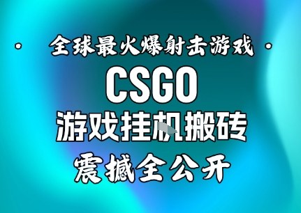 【年底大揭秘】基于全球最火爆的射击CSGO游戏挂G搬砖，日入5张+，震撼公开-轻创终点站